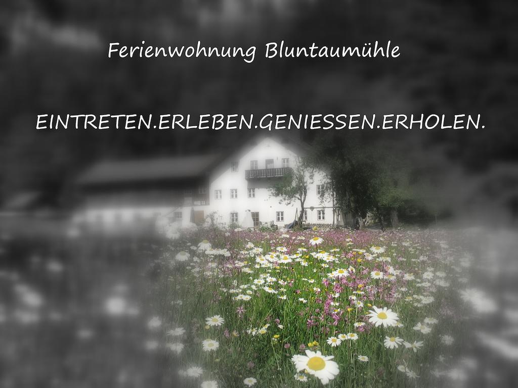 Ferienwohnung Bluntaumuehle Golling an der Salzach Camera foto